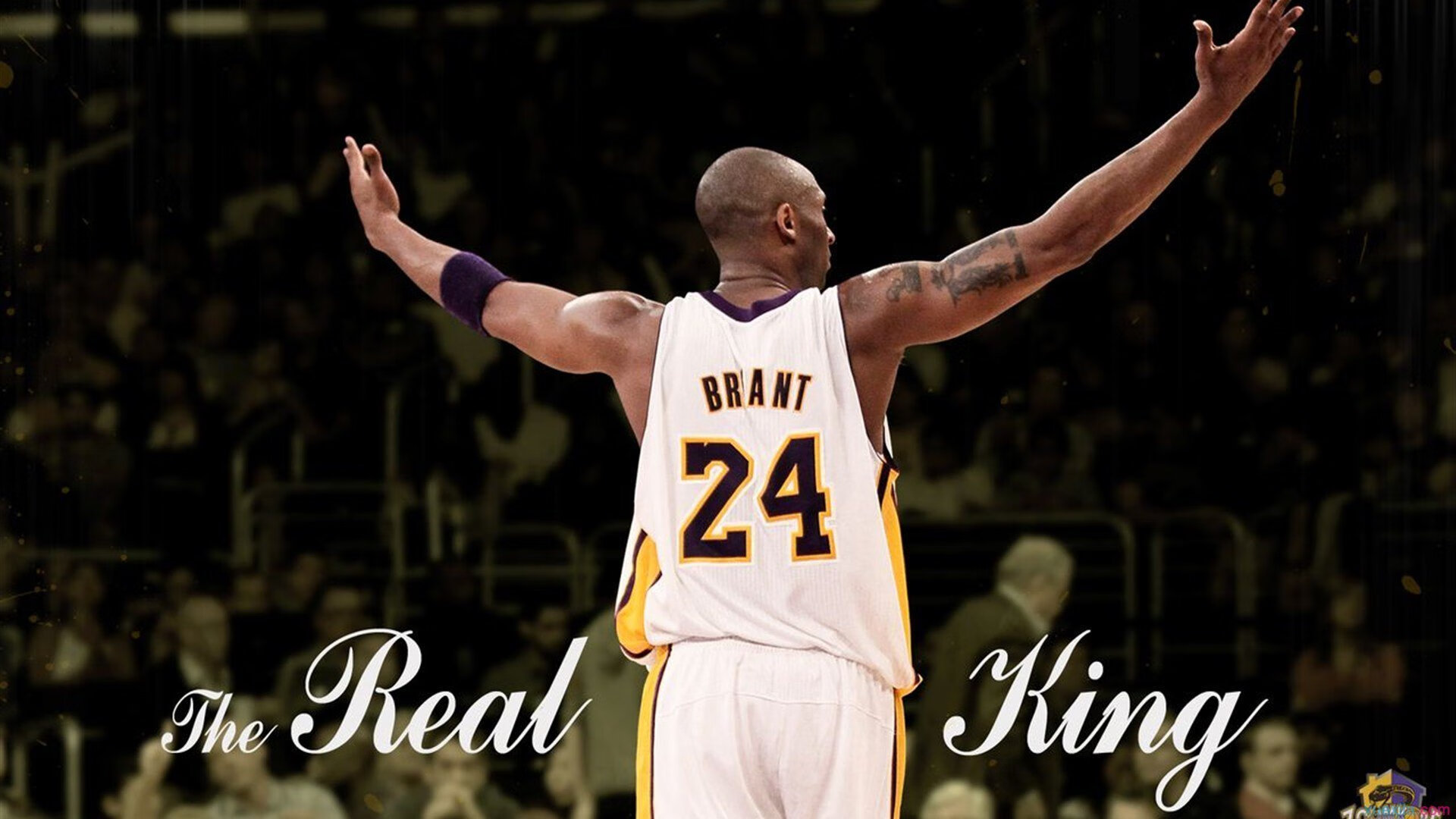 篮球明星参加公益活动为社区助力，篮球公益活动方案